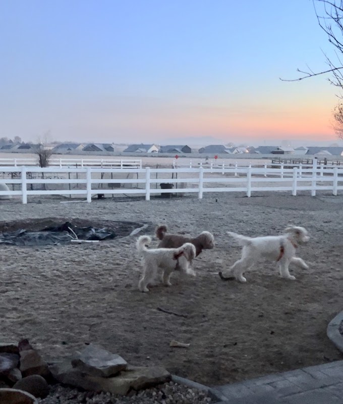 About DogWatch of Idaho Hidden Fences