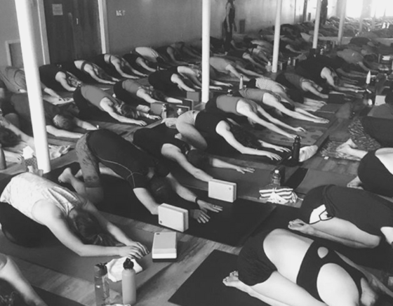 About Hot Yoga Charlottesville