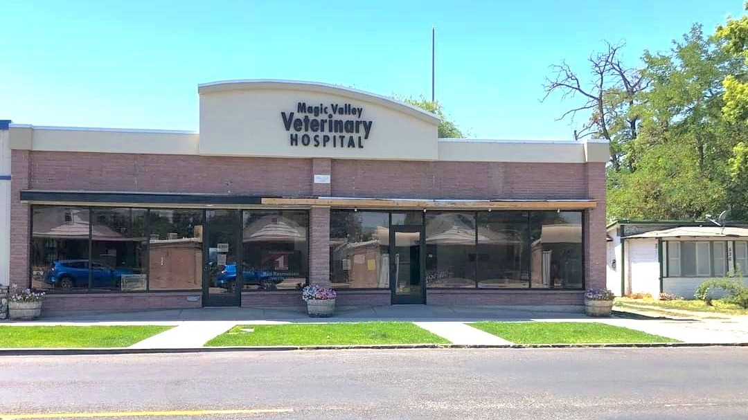 About Magic Valley Veterinary Hospital